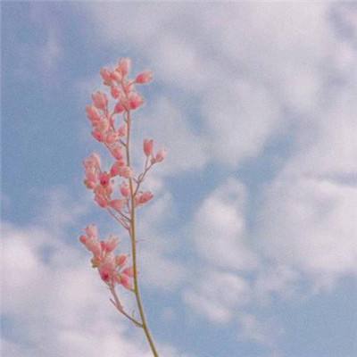 九游j9中国手机版