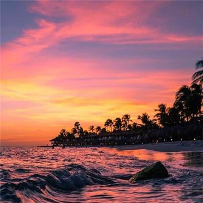 2026 CAIMRS 创新引领，跨越山海...