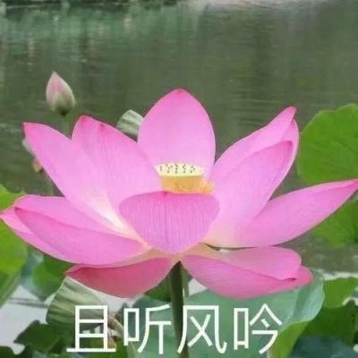 国内航线燃油附加费确定4月5日上涨