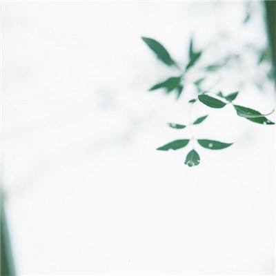 港股通创新药ETF嘉实（520970）跌1.00%，成交额6127.50万元