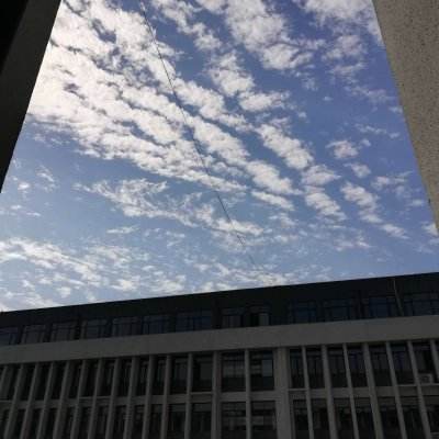 能源转型放缓 道达尔能源将重新评估2050净零目标
