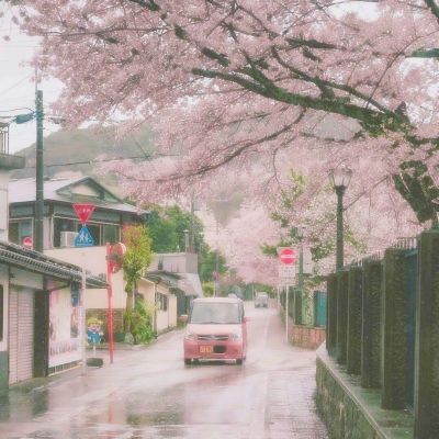 从外语看美军战备：粤语闽南语发万元补贴 新增维吾尔语